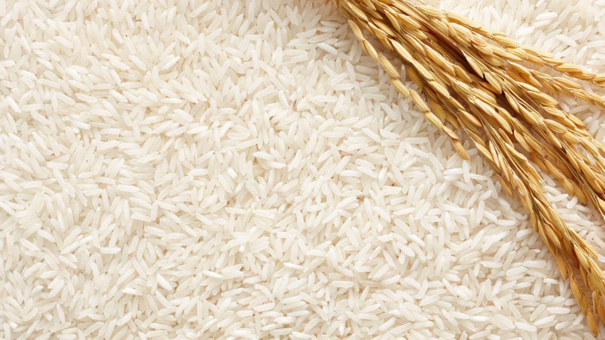 Apear: Producción de arroz de este año y stock 2020 garantizan demanda del 2022